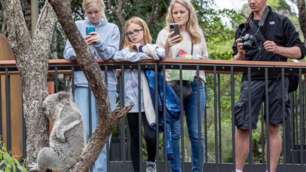 Taronga Zoo Sydney Wild Australia Experience