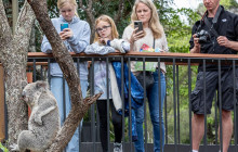 Taronga Zoo Sydney2