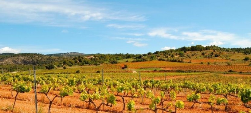 Private Helicopter Tour of Penedes Wine Region, photo 4 of 4