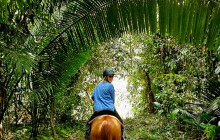 UpClose Belize Ltd6