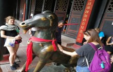 3-Day Chengdu Panda City Culture, Leshan Buddha, & Food Tour