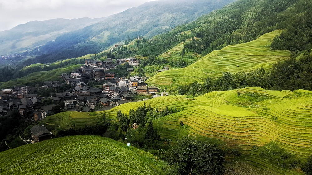 4-Day Yangshuo And Longji Rice Terrace Tour - Guilin | Project Expedition