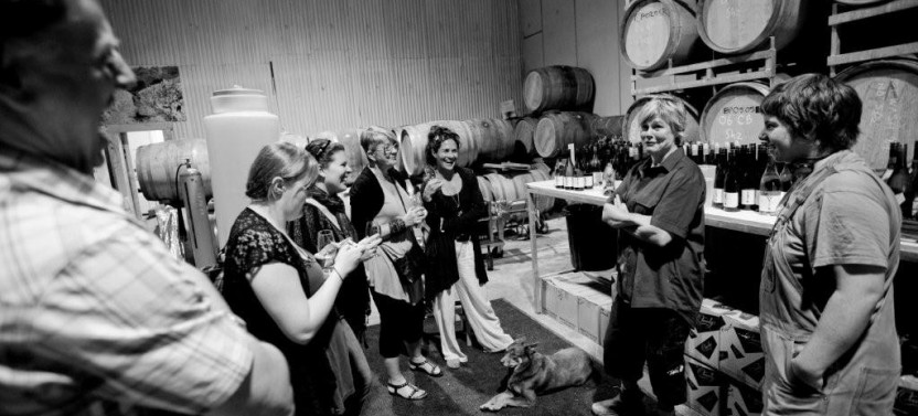Mornington Peninsula Wine Day Tour
