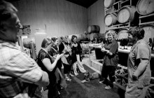 Vinetrekker Wine Tours5