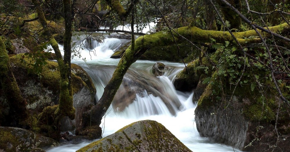 History, Culture, and Nature Tour of Peneda-Gerês National Park