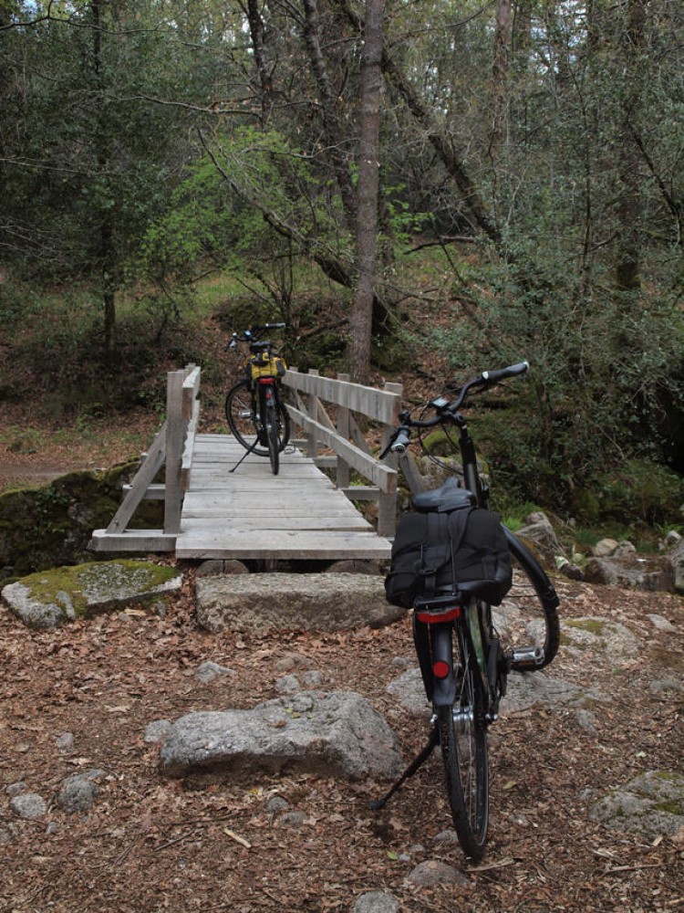 Peneda Park Mountain E-Bike Tour Braga Project Expedition