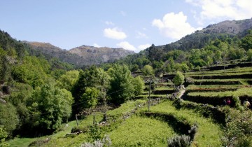 A picture of Crossing Peneda Mountain - 5-Days (Hiking)