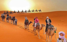 Tilila Trips3