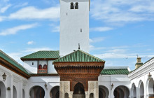 Tilila Trips5
