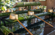 Tuyi Group Japan Co., Ltd.5