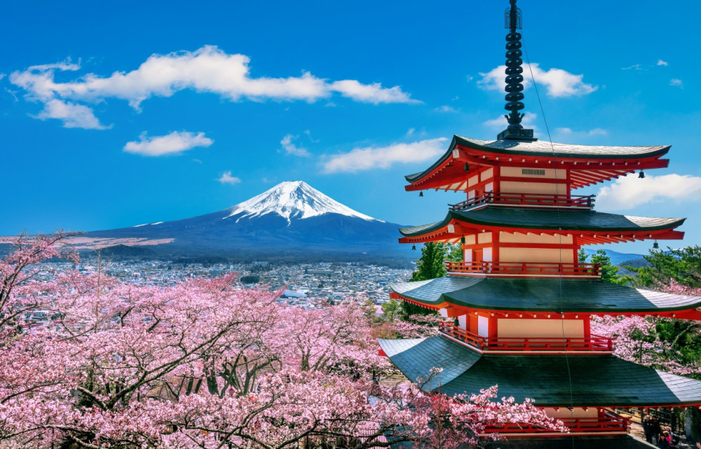 Mt. Fuji Seven Scenic Spots: Instagram-Worthy Day Tour Highlights