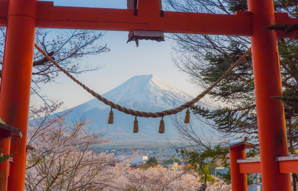 Mt. Fuji Seven Scenic Spots: Instagram-Worthy Day Tour  Highlights