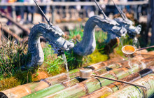 Tuyi Group Japan Co., Ltd.76