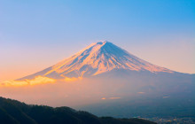 Tuyi Group Japan Co., Ltd.77