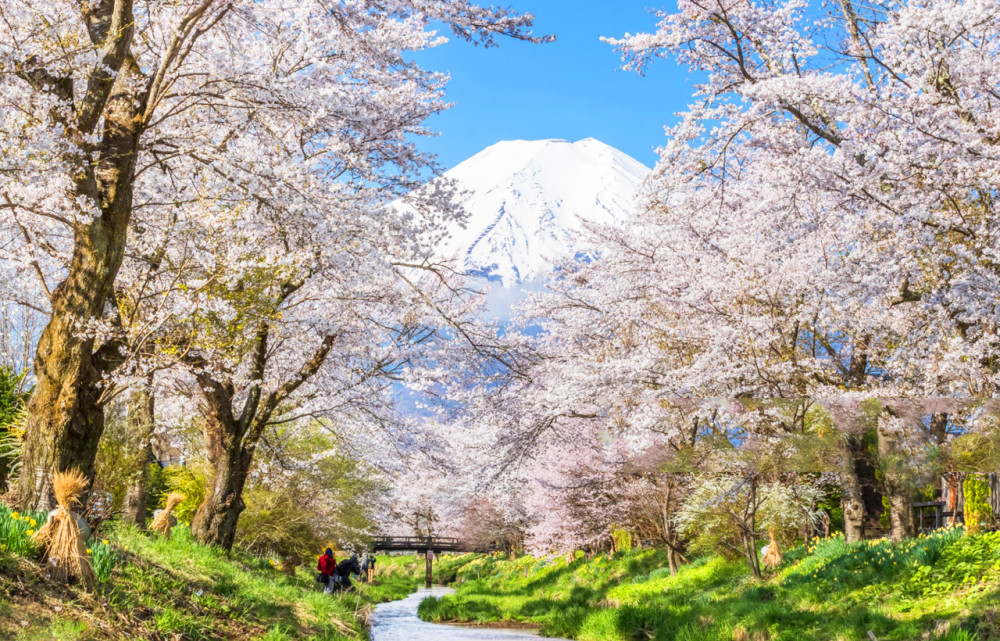 Mt. Fuji Oshino Hakkai, Outlets or Hot Springs One-Day Tour