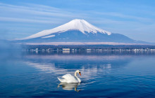 Tuyi Group Japan Co., Ltd.5