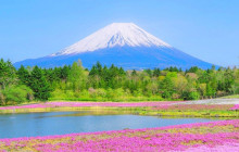 Tuyi Group Japan Co., Ltd.2