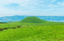 Tuyi Group Japan Co., Ltd.51