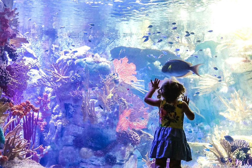 Go City | San Diego Essentials Pass: Access 3 Top Attractions