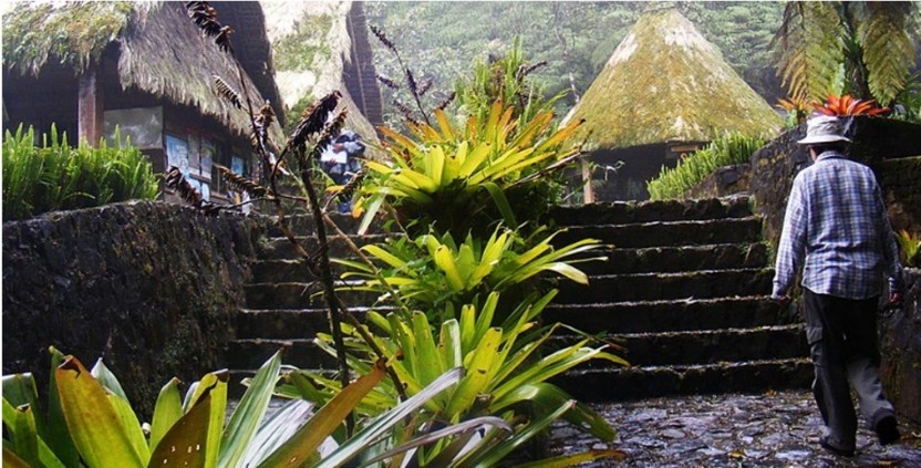 Biotope Of El Quetzal