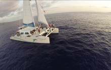 Pacific Whale Foundation155