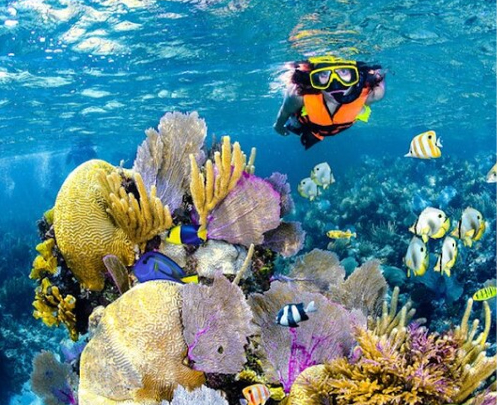 Private Riviera Maya Yacht 4 hour Tour