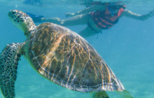 EcoColors Tours3