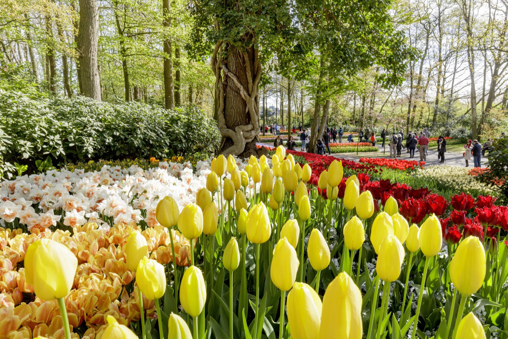 Bruges & Ghent with Cruise + Chocolatier Visit from Brussels