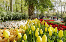 Tour Company NL6