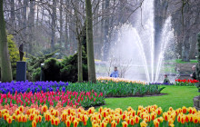 Tour Company NL2