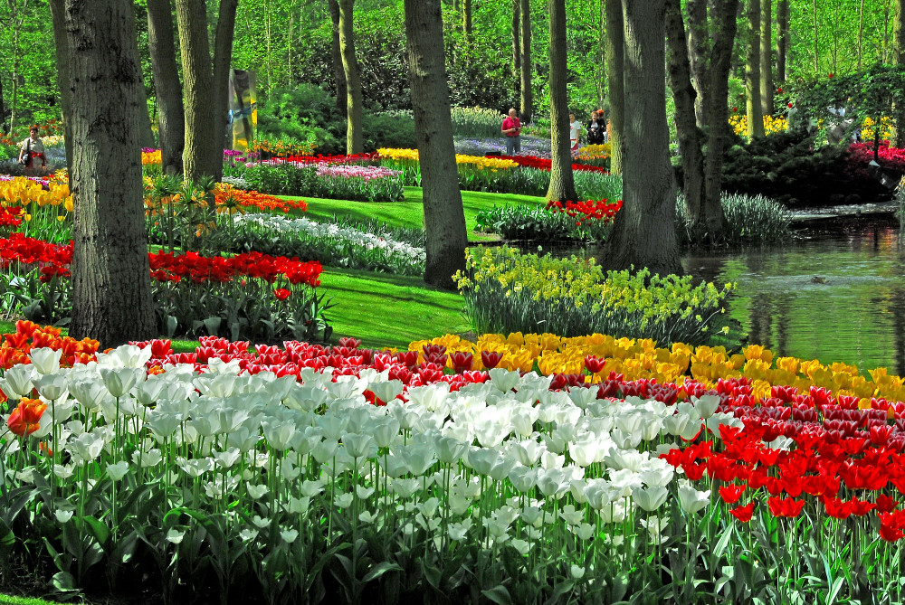 Keukenhof and Flower Parade