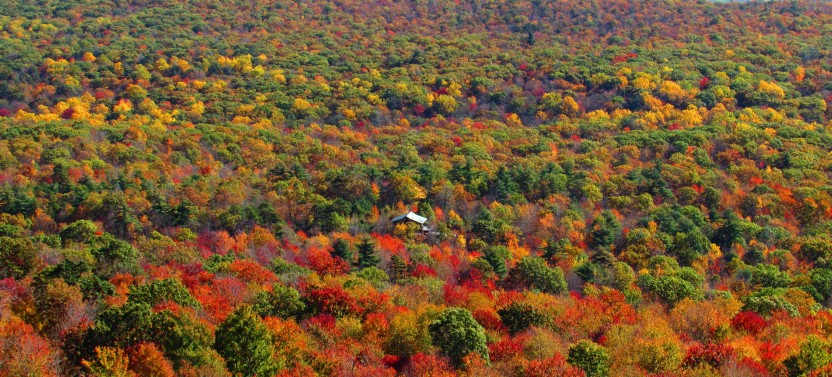 Fall Foliage Helicopter Tour From Westchester (Shared)