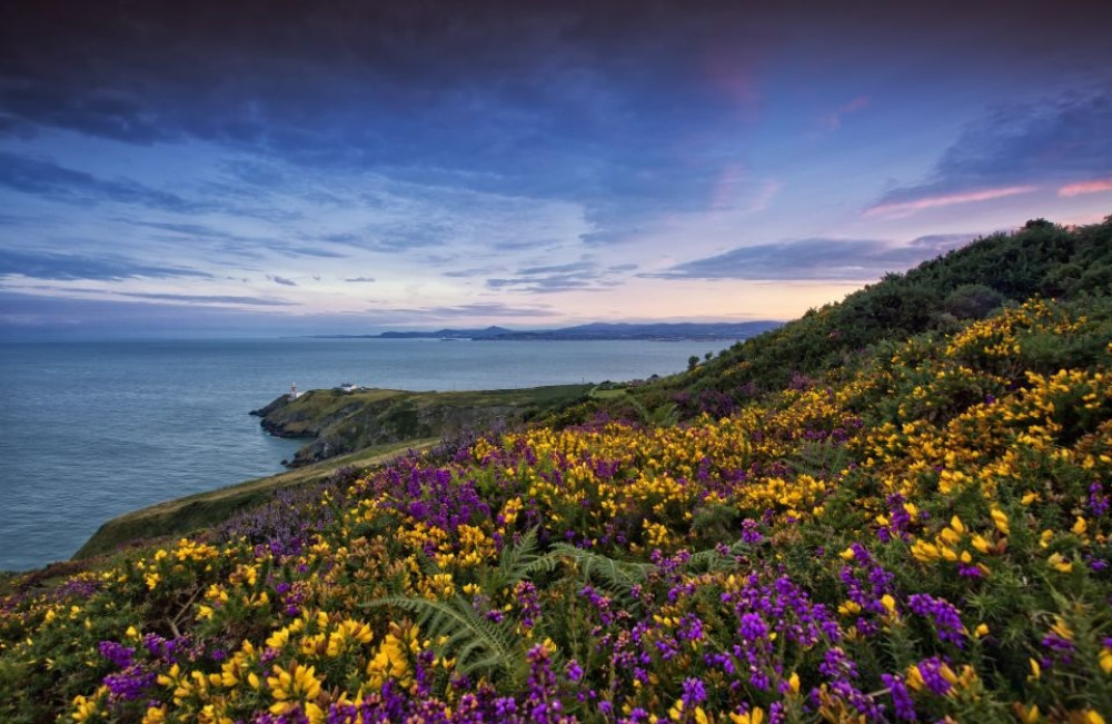 From Dublin: Half-Day Coastal Tour to Howth Village