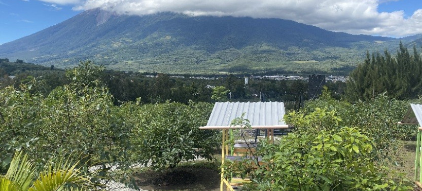 Puerto Quetzal Tale of Two Towns