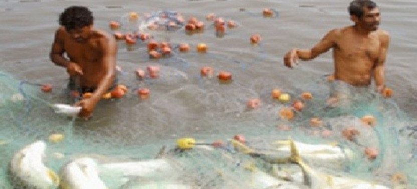 Puerto Quetzal Tale of Two Towns and Ceviche Making Class