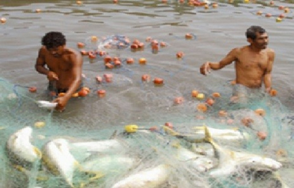 Puerto Quetzal Tale of Two Towns and Ceviche Making Class