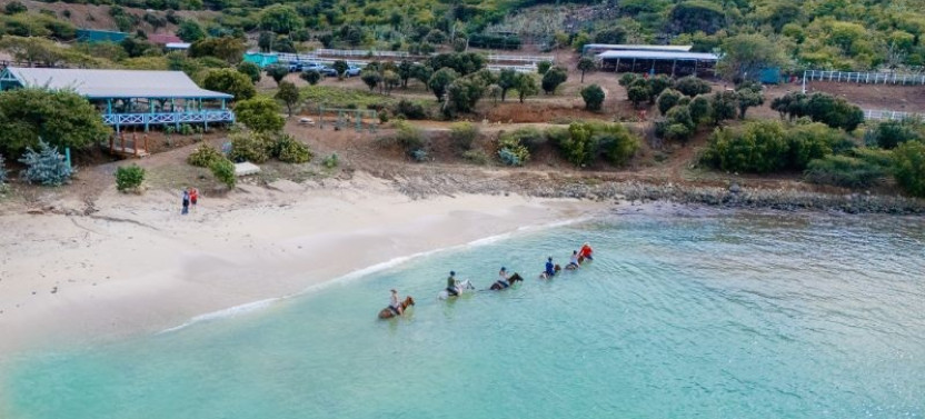 1 Hour Horseback Trail Ride at Seaside Nature Park (Private)