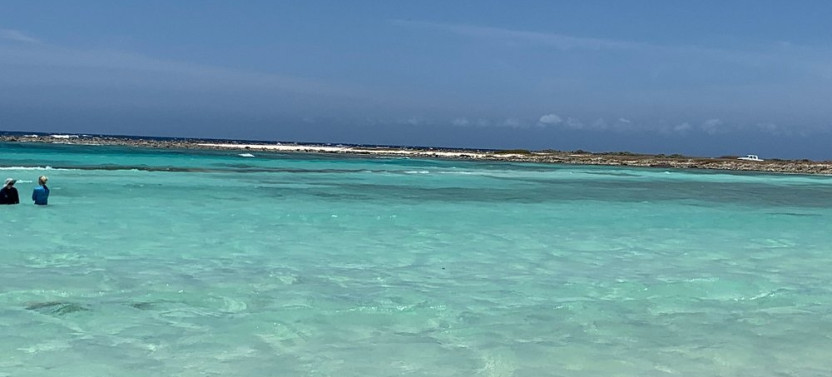 Snorkeling and Beach Hopping at Mangel Halto and Baby Beach Aruba