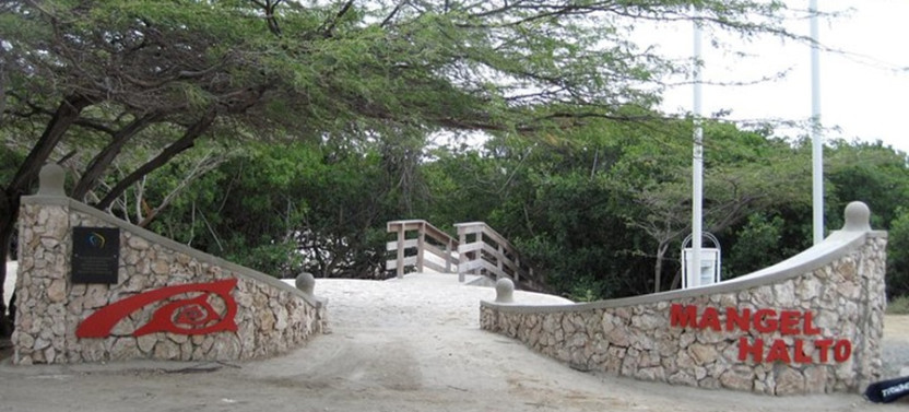 Snorkeling and Beach Hopping at Mangel Halto and Baby Beach Aruba