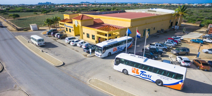 Aruba Island Bus Tour to Aloe Factory, Casibari Rocks & Arashi Beach