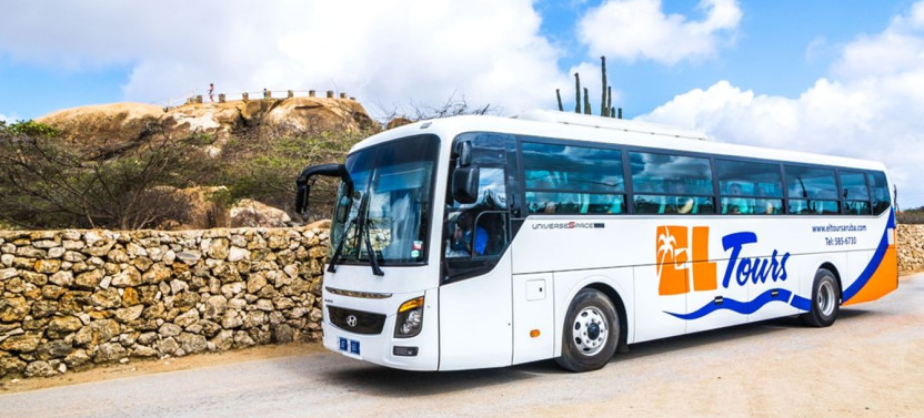 Aruba Island Highlights Bus Tour with Aloe Factory, Ruins & Lighthouse