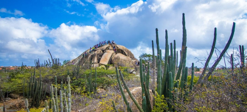 Aruba Island Highlights Bus Tour with Aloe Factory, Ruins & Lighthouse