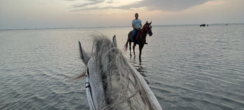 Private Horse Riding in Jeddah
