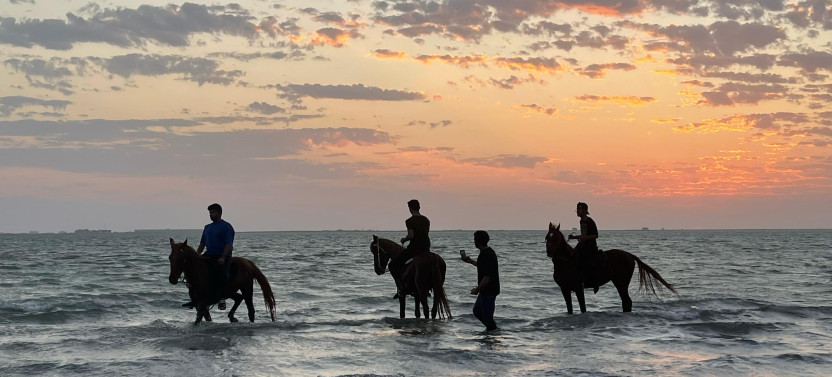 Private Horse Riding in Jeddah