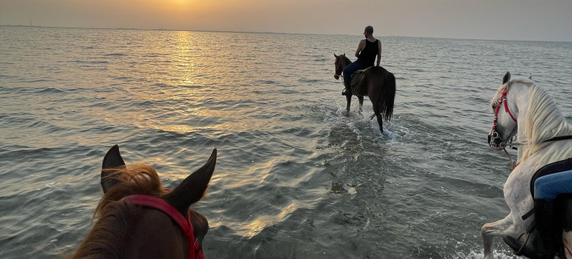 Private Horse Riding in Jeddah