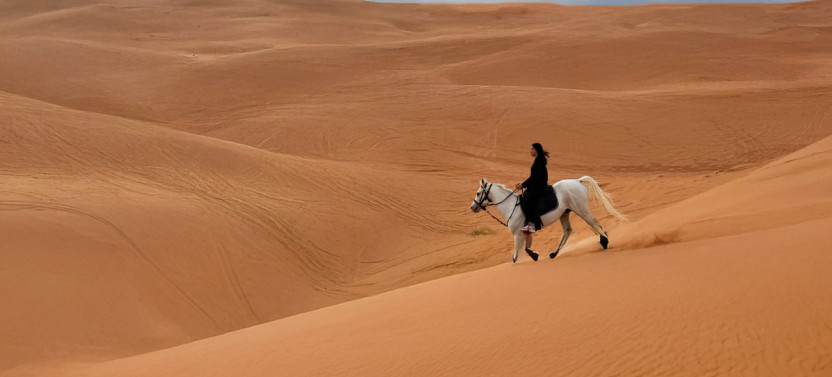 Beginner Horse Riding & Photography Experience