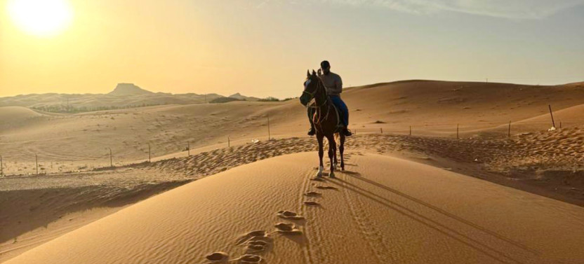 Beginner Horse Riding & Photography Experience