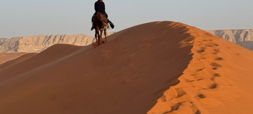 Beginner Horse Riding & Photography Experience