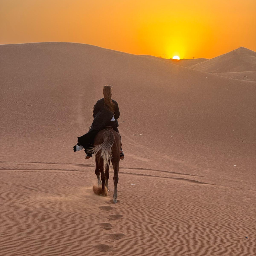 Beginner Horse Riding & Photography Experience