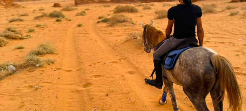 Horse Riding in Al Ula